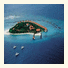 Vivanta By Taj - Coral Reef photo