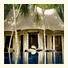 Banyan Tree Madivaru photo