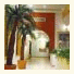 Holiday Inn Express Chihuahua