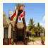 Maya Inn Holbox photo