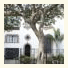 Casa Comtesse photo