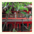 Hotel Posada Freud photo