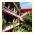 Jungla Caribe photo