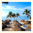 Ocean Royale photo