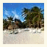 Luv Tulum photo