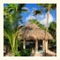 Papaya Playa Project photo