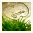 Apple Hotel photo