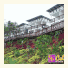 Celyn Resort Kinabalu