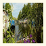 Blue Wave Houseboat photo