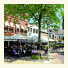 Het Wapen van Elst