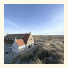 Strandhotel Terschelling