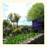 Siesta Motel photo