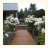 Amuri House photo