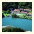 Haruru Falls Resort photo