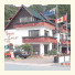 Swiss Chalet Lodge Motel photo