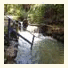 Golden Springs Motel, Holiday Park & Camp Site