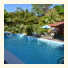 Coconut Lodge