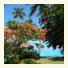 Hotel Hibiscus