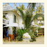 The Boracay Beach Resort