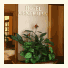 Hotel Centralny