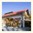 Villa Cynamon photo