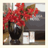 Catolica Hotel photo