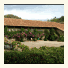Quinta de S.Vicente