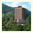 Hotel Diana
