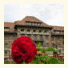Hotel Triumf photo