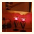 Paradise Accommodation photo