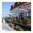Pension Izabel photo