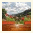 Pension Pietrele Doamnei photo