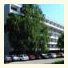 Hotel Mures photo