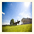 Imperial Belveder Palace photo