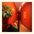 Acme Hostel photo