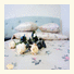 Roses Hotel photo