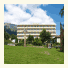 Hotel Palace photo