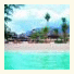 Barali Beach Resort & Spa photo