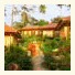 Paradise Bungalows photo