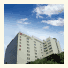 White Orchid Hotel photo