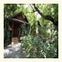 Long Beach Lodge, Chaweng Beach, Koh Samui photo