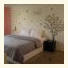 Dozy House photo
