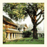 Tamarind Village photo