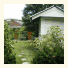 Baan Bua Guest House