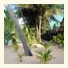 Lolita Bungalow photo