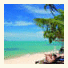 New Lapaz Villa & Resort photo