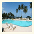 Samui Orchid Resort photo