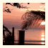 Lanta Island Resort photo