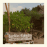Lanta Nice Beach Resort photo