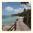 Lighthouse Bungalows photo